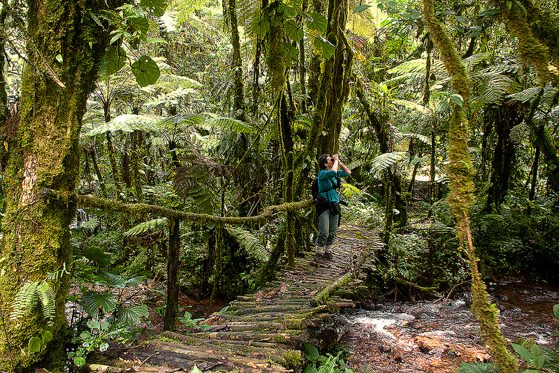 Bwindi National Park