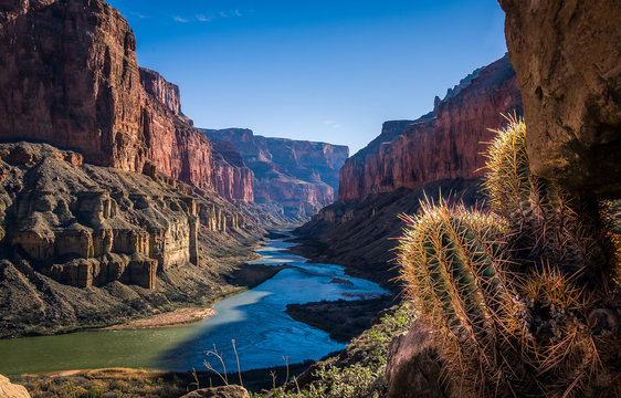 Visiting the Grand Canyon is good