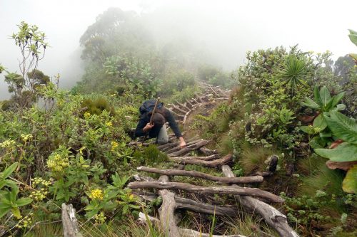 cloud seeding