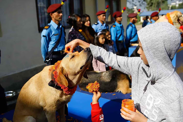 Acknowledging the special bond between humans and their canine companions