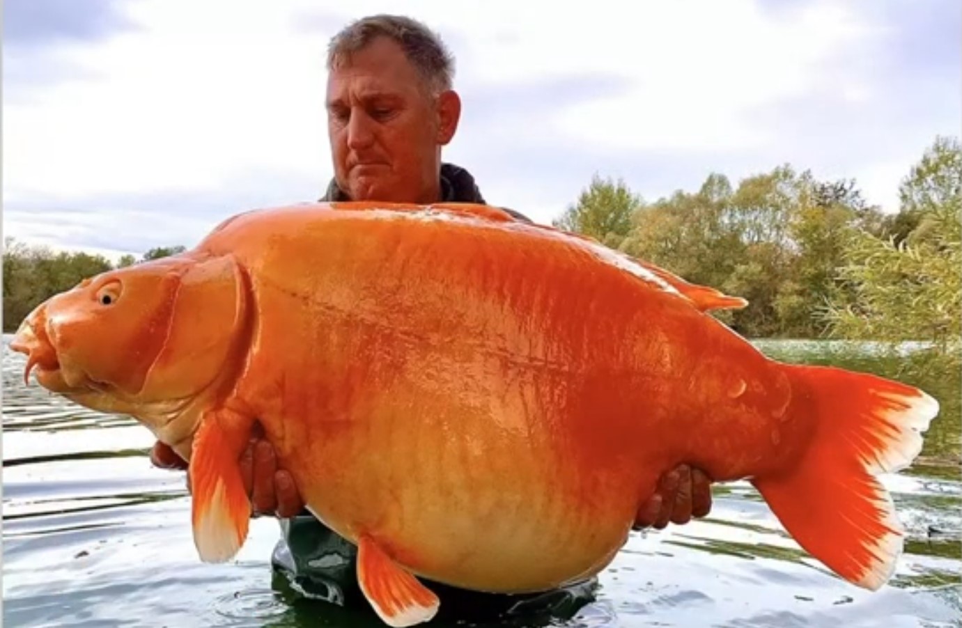 Fresh Fish Water Species