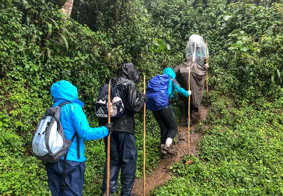 Enjoying Hiking