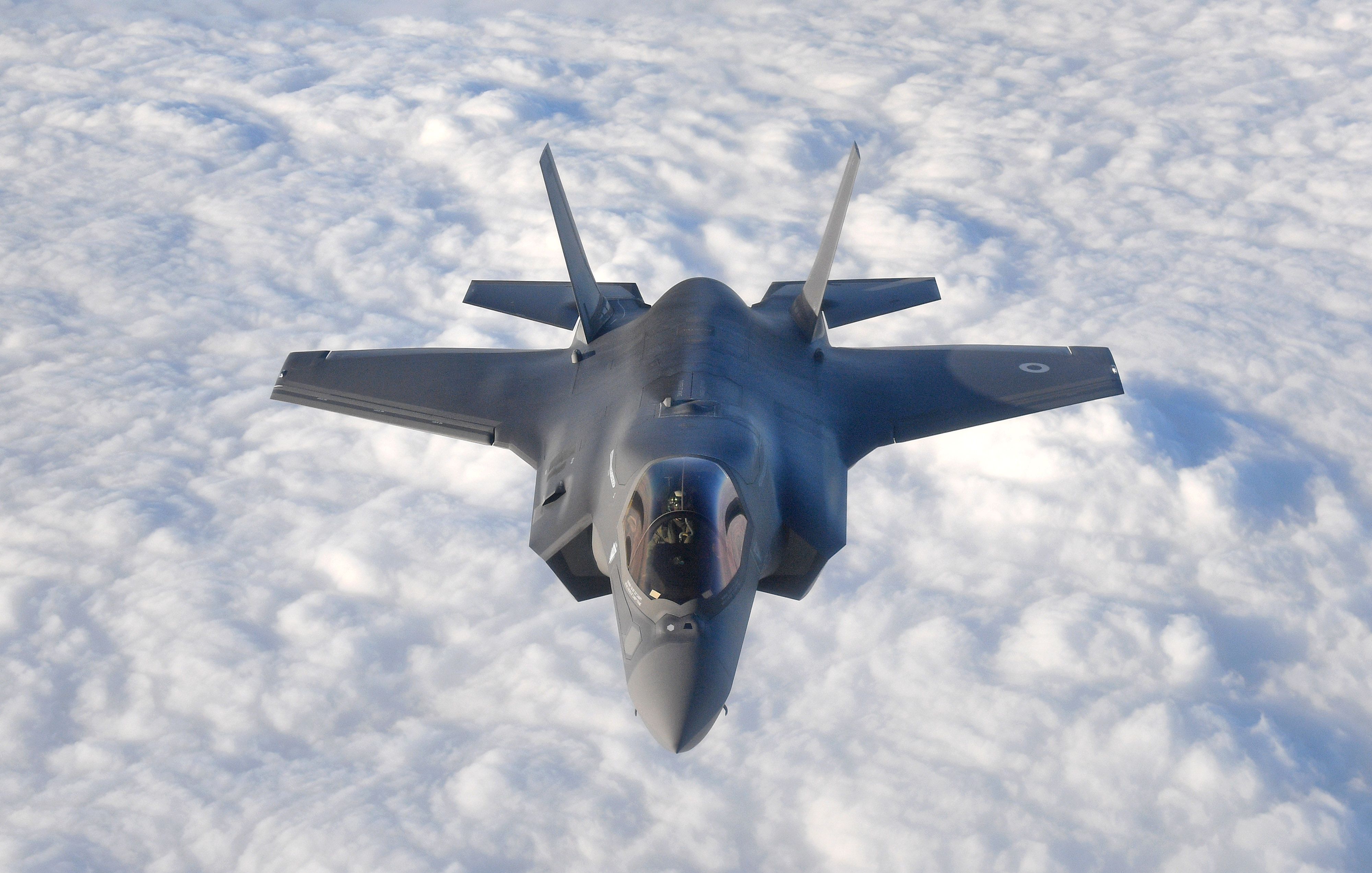 the F-35 powerful fighter jet