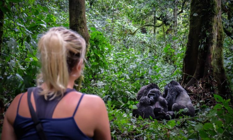 Trekking in the jungle