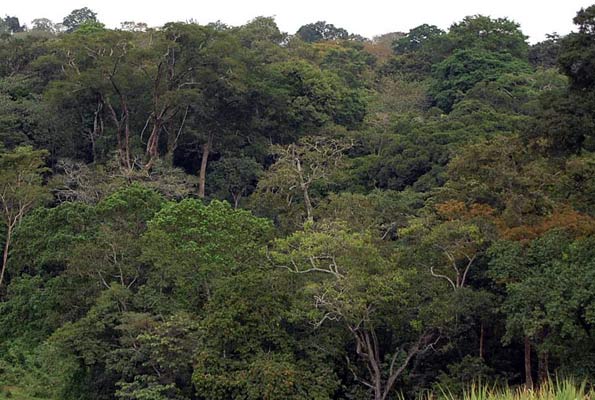 Landing Site In Masese