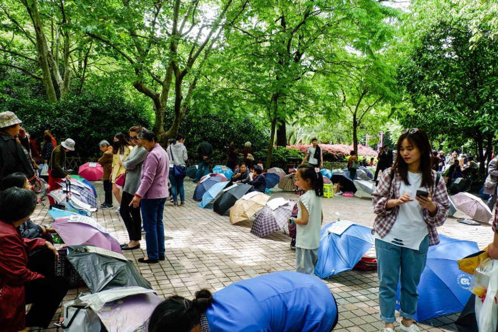 The Marriage Market Organised China