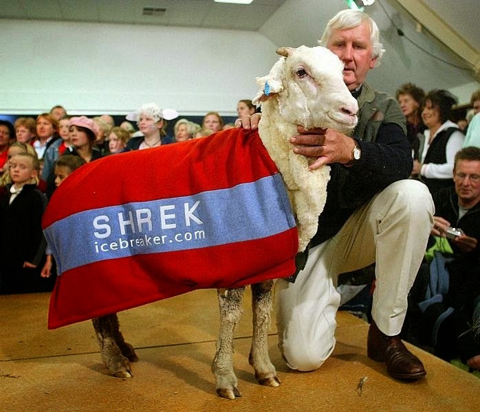 Was not sheared six years